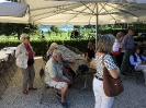 Erlach und Petersinsel 2018_57