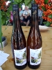 Jubiläum Sonafe 2009_10