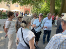 Frühsommerausflug auf die Insel Mainau 2023_18