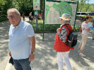 Frühsommerausflug auf die Insel Mainau 2023_4