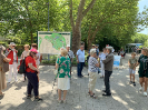 Frühsommerausflug auf die Insel Mainau 2023_5