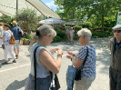 Frühsommerausflug auf die Insel Mainau 2023_9