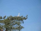 Frühsommerausflug nach Sempach 2008_14