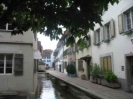 Frühsommerausflug nach Sempach 2008_19