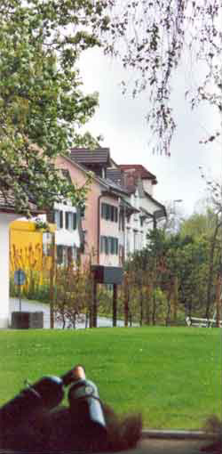 villasunneschyinnen